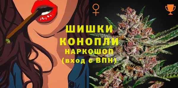 дмт Алзамай