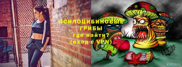 мяу мяу мука Касимов