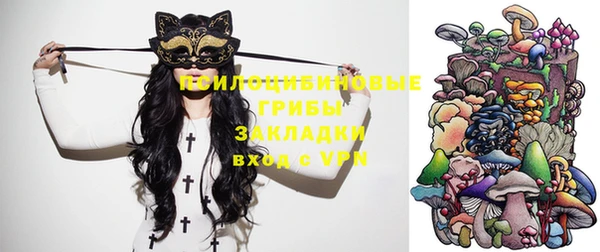 дмт Алзамай