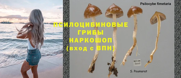 мяу мяу мука Касимов
